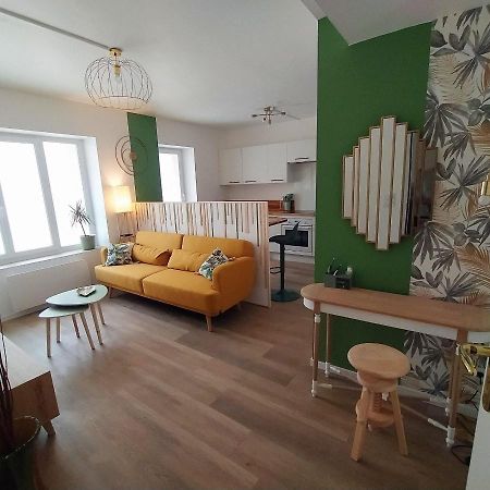 Magnifique T3 Centre Ville Avec Wifi Rdc Limoux Zewnętrze zdjęcie